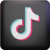 TikTok Icon